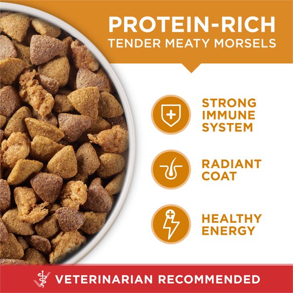 Purina ONE Natural SmartBlend Chicken & Rice Formula Dry Dog Food