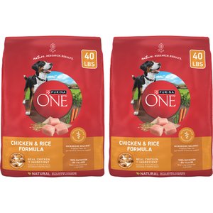 Purina ONE Natural SmartBlend Lamb & Rice Formula Dry Dog Food