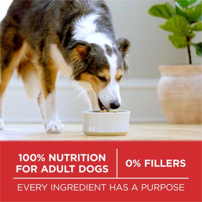 Show full view: Purina ONE Natural Adult Chicken & Rice Formula Dry Dog Food, 80-lb bundle slide 8 of 12