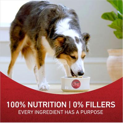 Show full view: Purina ONE Natural Adult Chicken & Rice Formula Dry Dog Food, 80-lb bundle slide 9 of 12