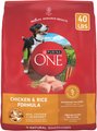 Purina ONE Natural Adult Chicken & Rice Formula Dry Dog Food, 40-lb bag
