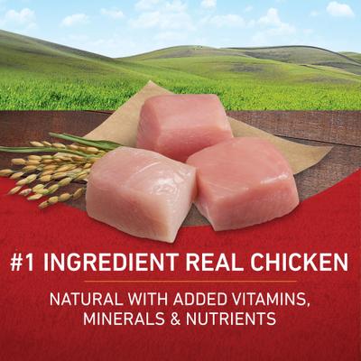 Show full view: Purina ONE Natural Adult Chicken & Rice Formula Dry Dog Food, 8-lb bag slide 5 of 11