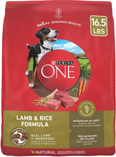 Purina ONE SmartBlend Lamb & Rice Dry Dog Food
