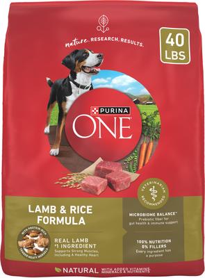 Purina ONE Natural SmartBlend Lamb & Rice Formula Dry Dog Food