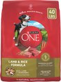 Purina ONE Natural SmartBlend Lamb & Rice Formula Dry Dog Food, 40-lb bag