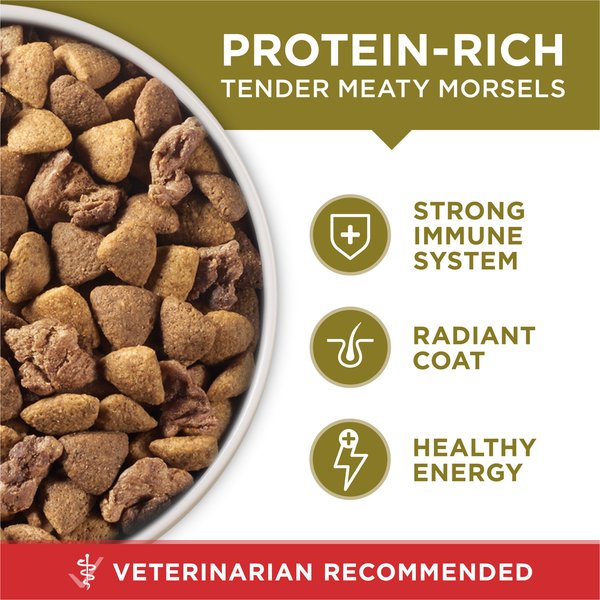Purina ONE Natural SmartBlend Lamb & Rice Formula Dry Dog Food