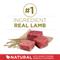 Show in main carousel: Purina ONE Natural SmartBlend Lamb & Rice Formula Dry Dog Food, 40-lb bag slide 5 of 11