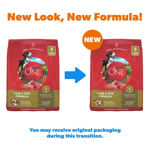 Purina ONE Lamb & Rice Formula Dry Dog Food