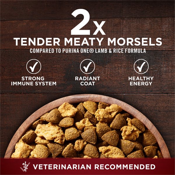 Purina ONE Natural True Instinct High Protein Real Salmon & Tuna Dry Dog Food