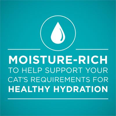 Show full view: Purina ONE Ocean Whitefish Recipe Pate Grain-Free Natural High Protein Canned Cat Food, 3-oz, case of 24 slide 4 of 13