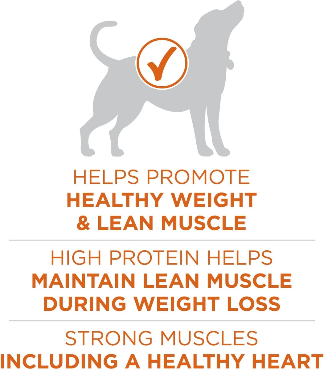 Photo inspiration: Visual Reference: Purina One Plus Adult High Protein Healthy Weight Formula Turkey