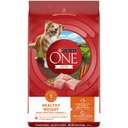 Purina ONE +Plus Adult High-Protein Healthy Weight Formula Turkey Formula Dry Dog Food, 8-lb bag