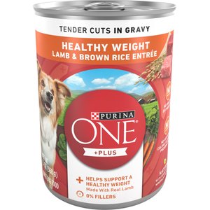 purina one small breed dog food