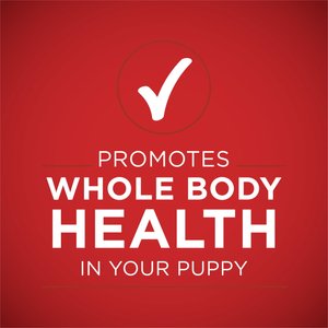 Purina ONE +Plus Classic Ground Healthy Puppy Lamb & Long Grain Rice Entree Canned Dog Food, 13-oz, case of 12