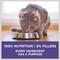 Show in main carousel: Purina ONE +Plus Hairball Formula Natural Adult Dry Cat Food, 16-lb bag slide 8 of 13