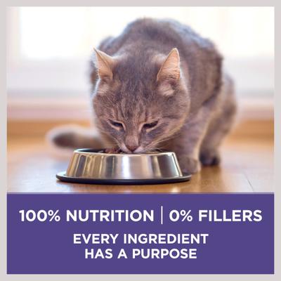 Show full view: Purina ONE +Plus Hairball Formula Natural Adult Dry Cat Food, 16-lb bag slide 8 of 13