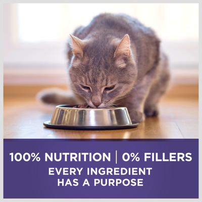 Show full view: Purina ONE +Plus Hairball Formula Natural Adult Dry Cat Food, 3.5-lb bag slide 9 of 13