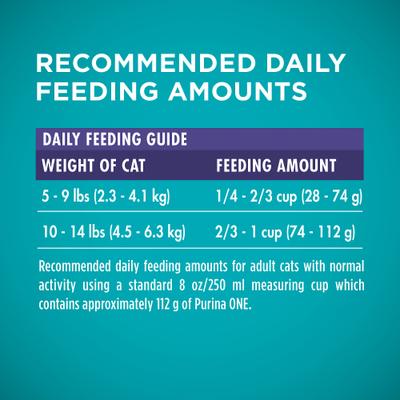 Show full view: Purina ONE +Plus Hairball Formula Natural Adult Dry Cat Food, 7-lb bag slide 10 of 13