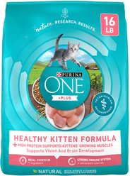Purina ONE +Plus Healthy Kitten Muscle Vision & Brain Development Natural Dry Cat Food, 16-lb bag