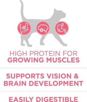 Show full view: Purina ONE +Plus Healthy Kitten Muscle Vision & Brain Development Natural Dry Cat Food, 16-lb bag slide 5 of 11