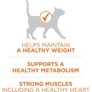 Purina ONE +Plus Ideal Weight Natural High Protein Adult Dry Cat Food, 16-lb bag