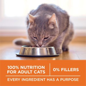 Purina ONE +Plus Ideal Weight Natural High Protein Adult Dry Cat Food, 16-lb bag
