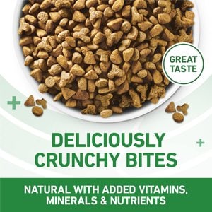 Purina ONE +Plus Indoor Advantage Adult Natural, Low Fat, Weight Control, Indoor Real Turkey Dry Cat Food, 22-lb bag