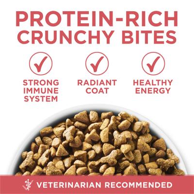 Show full view: Purina ONE +Plus Indoor Advantage with Real Salmon Natural Adult Dry Cat Food, 3.5-lb bag slide 3 of 9