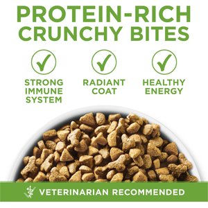 Purina ONE +Plus Indoor Advantage with Real Turkey Weight-Control & Hairball Adult Dry Cat Food, 16-lb bag