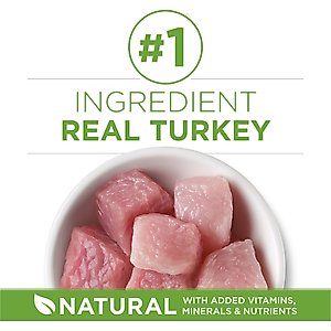 Purina ONE +Plus Indoor Advantage with Real Turkey Weight-Control & Hairball Adult Dry Cat Food, 16-lb bag