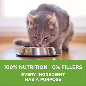 Purina ONE +Plus Indoor Advantage with Real Turkey Weight-Control & Hairball Adult Dry Cat Food, 16-lb bag