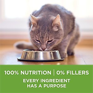 Purina ONE +Plus Indoor Advantage with Real Turkey Weight-Control & Hairball Adult Dry Cat Food, 22-lb bag