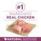 Show in main carousel: Purina ONE +Plus Natural High Protein Healthy Puppy Chicken Formula Dry Puppy Food, 8-lb bag slide 4 of 11