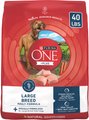 Purina ONE +Plus Natural Large Breed Chicken Muscle & Joint Support Dry Dog Food, 40-lb bag