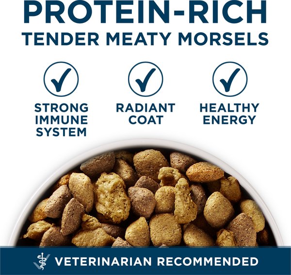 Purina ONE Natural Large Breed +Plus Formula Dry Dog Food