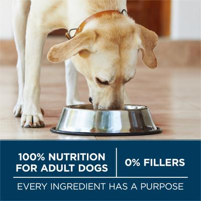 Show full view: Purina ONE +Plus Natural Large Breed Chicken Muscle & Joint Support Dry Dog Food, 40-lb bag slide 8 of 11