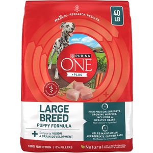 Purina ONE Plus Natural Large Breed Formula Dry Puppy Food, 40-lb bag