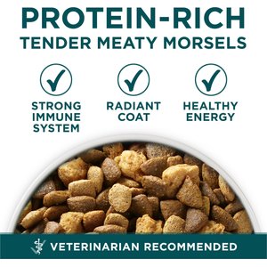 Purina ONE Plus Natural Large Breed Formula Dry Puppy Food, 40-lb bag
