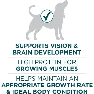 Purina ONE Plus Natural Large Breed Formula Dry Puppy Food, 40-lb bag
