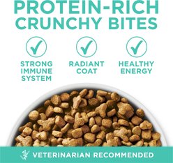 Purina ONE +Plus Sensitive Skin & Stomach Adult Natural Digestive Dry Cat Food, 16-lb bag slide 2 of 8