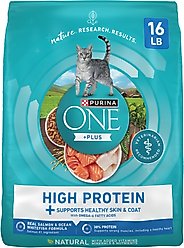 Purina ONE Plus Skin & Coat Health Formula Natural Salmon & Ocean Whitefish High Protein Dry Cat Food, 16-lb bag