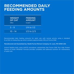 Purina ONE Plus Skin & Coat Health Formula Natural Salmon & Ocean Whitefish High Protein Dry Cat Food, 22-lb bag slide 2 of 9