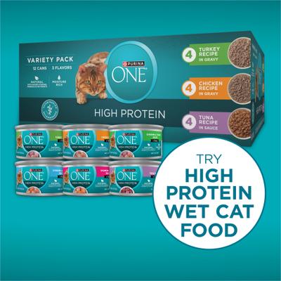 Show full view: Purina ONE Plus Skin & Coat Health Formula Natural Salmon & Ocean Whitefish High Protein Dry Cat Food, 7-lb bag slide 9 of 12
