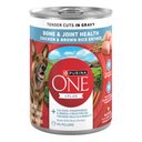 Purina ONE Plus Tender Cuts in Gravy Bone & Joint Health Chicken & Brown Rice Entree Natural Wet Dog Food, 13-oz can, case of 12