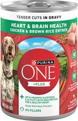 Purina ONE Plus Tender Cuts in Gravy Heart & Brain Chicken & Brown Rice Entree Natural Wet Dog Food, 13-oz can, case of 12