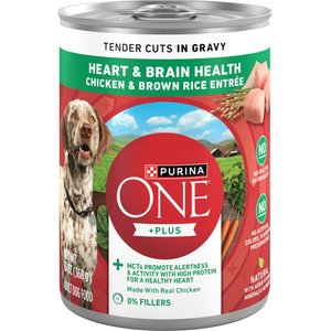 Purina ONE Plus Tender Cuts in Gravy Heart & Brain Chicken & Brown Rice Entree Natural Wet Dog Food, 13-oz can, case of 12