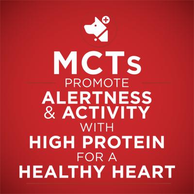 Show full view: Purina ONE Plus Tender Cuts in Gravy Heart & Brain Chicken & Brown Rice Entree Natural Wet Dog Food, 13-oz can, case of 12 slide 5 of 12