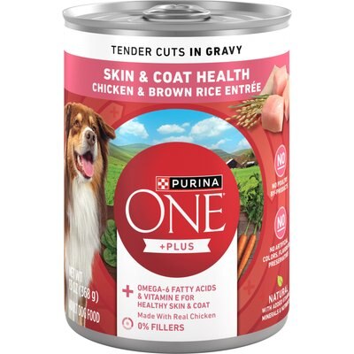 Purina ONE Purina ONE Plus Tender Cuts in Gravy Skin & Coat Chicken & Brown Rice Entree Natural Wet Dog Food, 13-oz can, case of 12