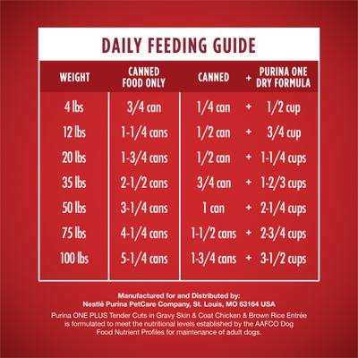 Show full view: Purina ONE Plus Tender Cuts in Gravy Skin & Coat Chicken & Brown Rice Entree Natural Wet Dog Food, 13-oz can, case of 12 slide 10 of 12