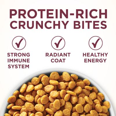 Purina ONE +Plus Urinary Tract Health Formula High Protein Adult Dry Cat Food